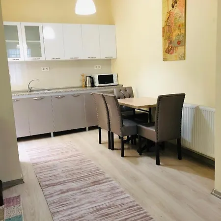 公寓 Comfort House Taksim 伊斯坦布尔